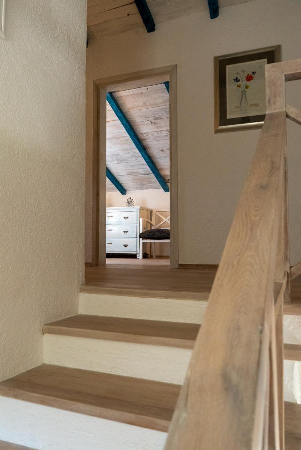 Julijud, Heated Pool, Jacuzzi, Dome And Sauna Brajkovici  Exterior foto